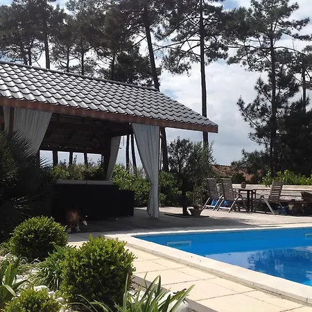 Maison d'hôtes Le Sommet Des Dunes